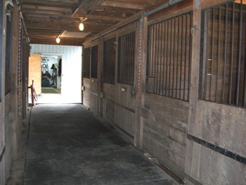 Stalls and tack room Western Connection