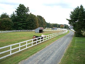 Western Connection fields
