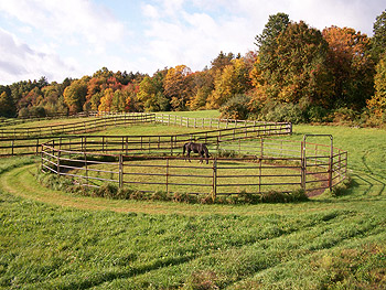 60 foot round pen Western Connection